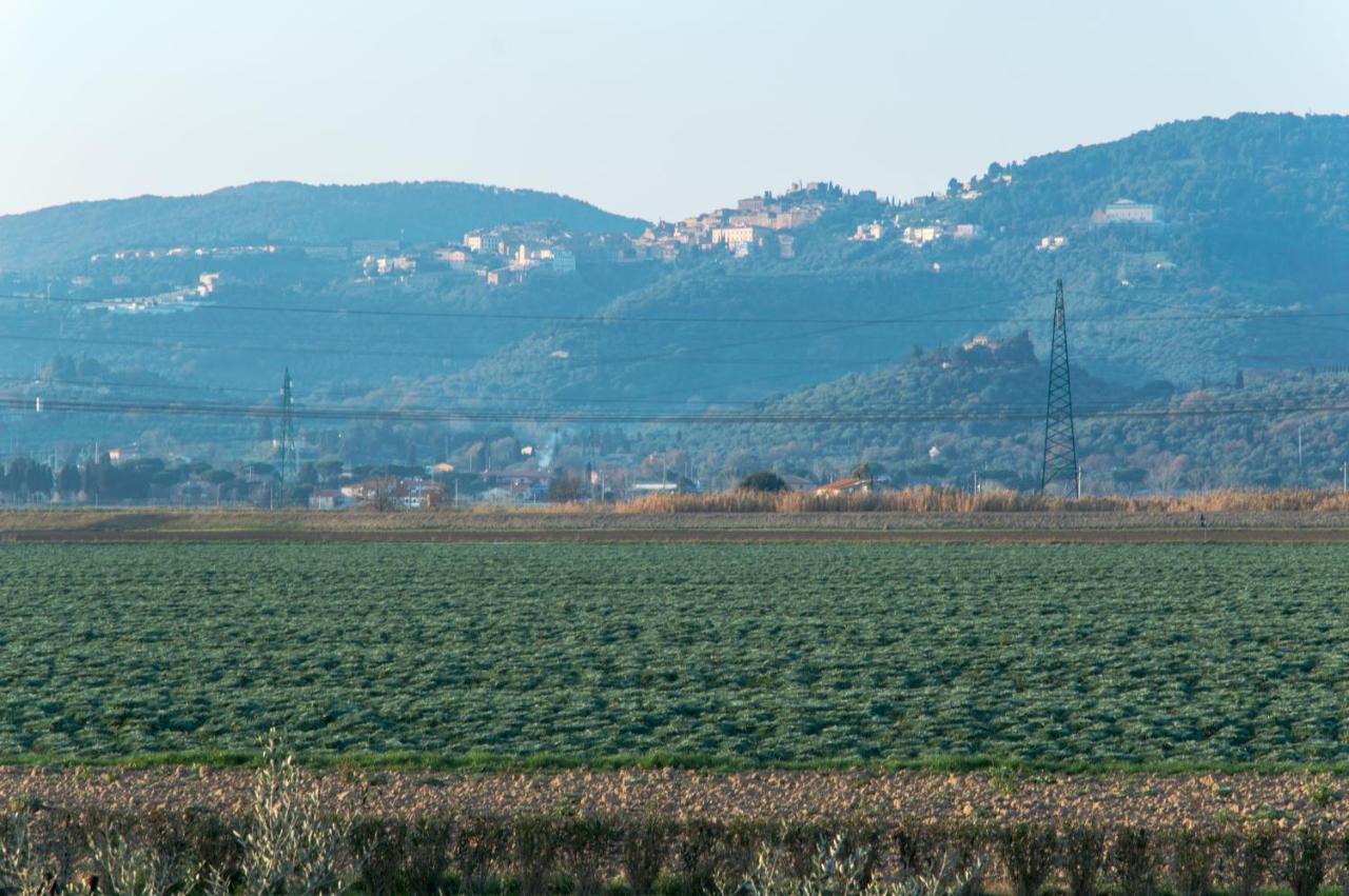 Agriturismo Il Cuscino Nel Pagliaio Campiglia Marittima Luaran gambar