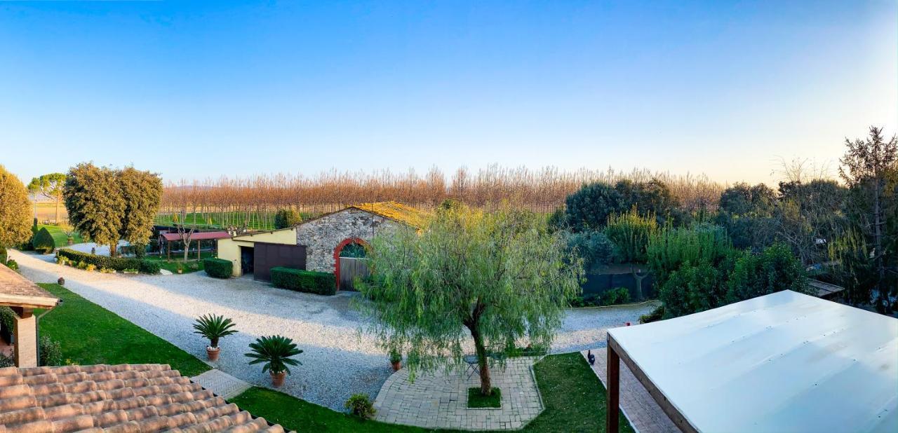 Agriturismo Il Cuscino Nel Pagliaio Campiglia Marittima Luaran gambar