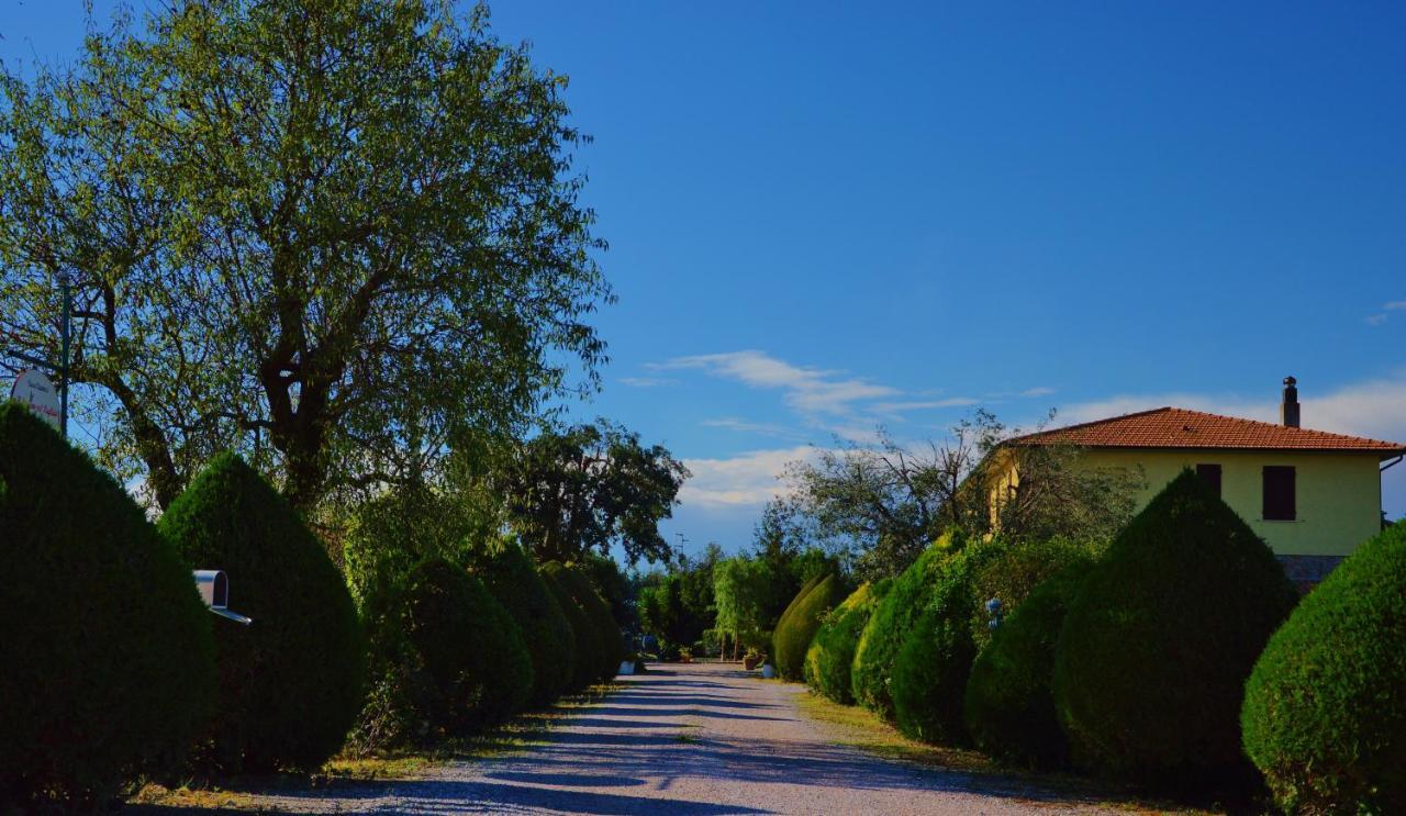 Agriturismo Il Cuscino Nel Pagliaio Campiglia Marittima Luaran gambar