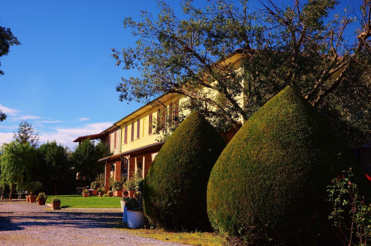 Agriturismo Il Cuscino Nel Pagliaio Campiglia Marittima Luaran gambar