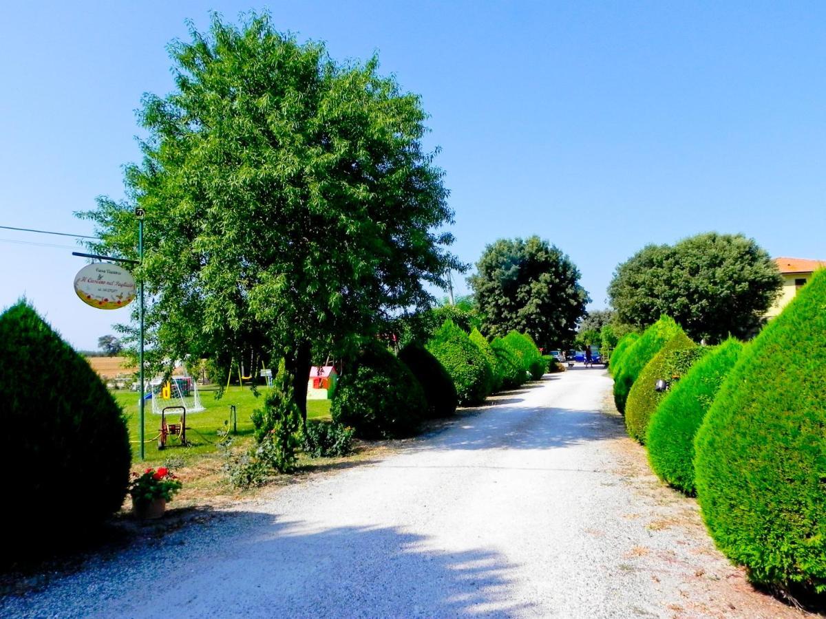 Agriturismo Il Cuscino Nel Pagliaio Campiglia Marittima Luaran gambar