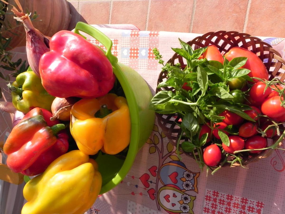 Agriturismo Il Cuscino Nel Pagliaio Campiglia Marittima Luaran gambar