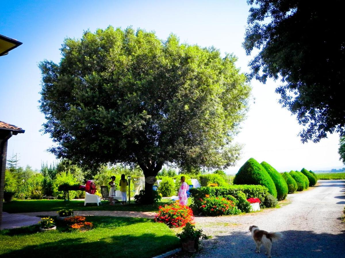 Agriturismo Il Cuscino Nel Pagliaio Campiglia Marittima Luaran gambar
