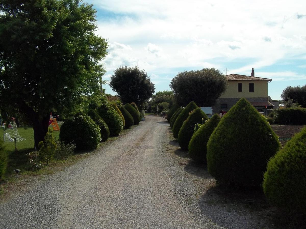 Agriturismo Il Cuscino Nel Pagliaio Campiglia Marittima Luaran gambar